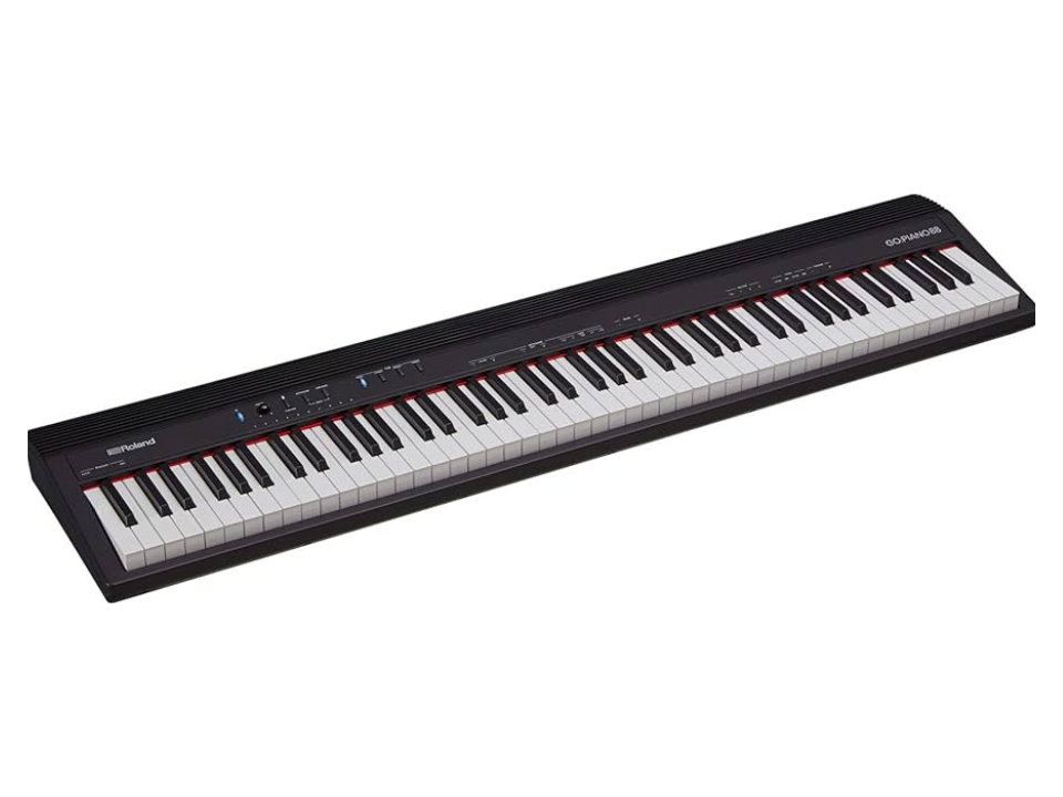 Roland Go 88-P