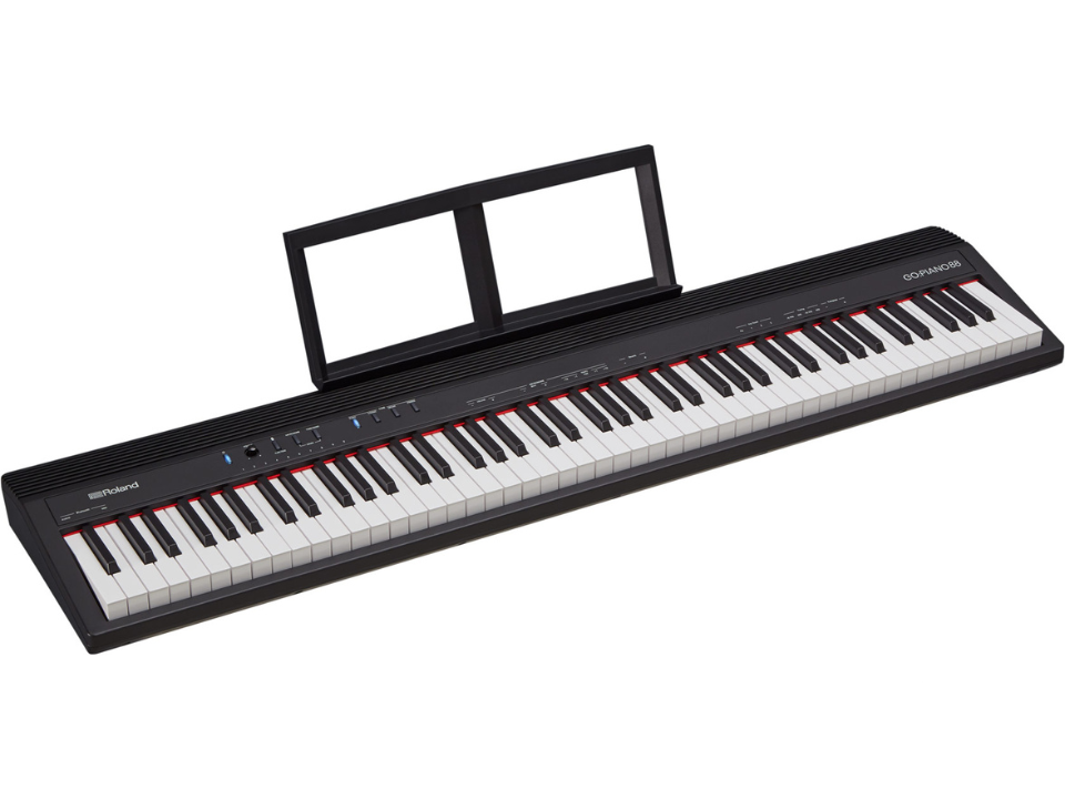 Roland Go 88-P