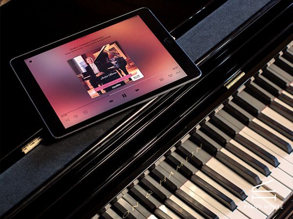 PIANODISC (RECORD + SILENT)