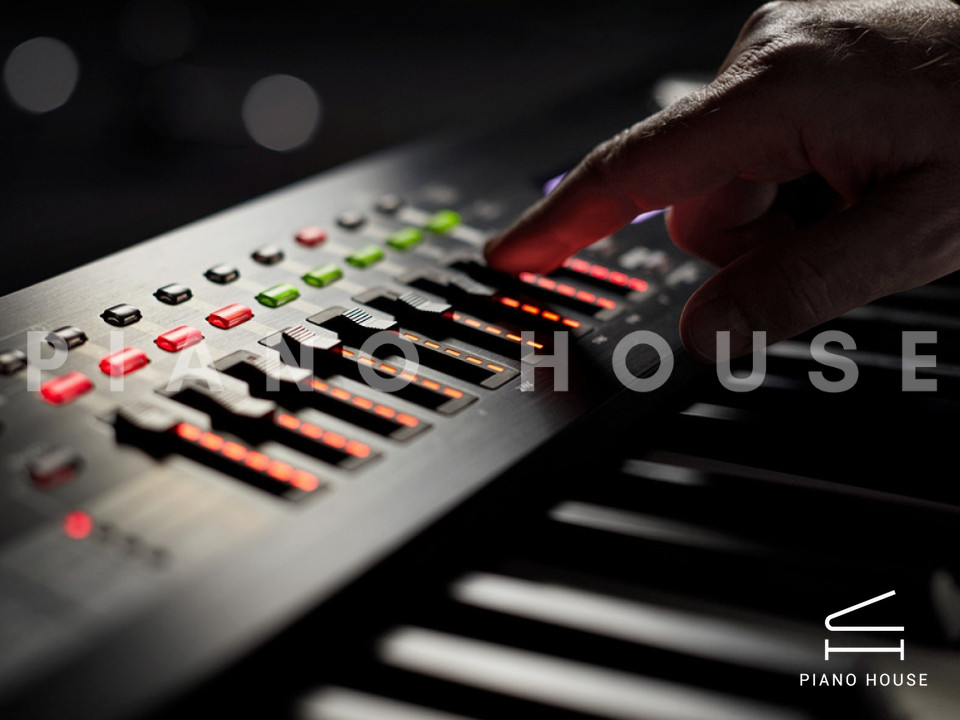 ROLAND RD-2000 EX Stage Piano