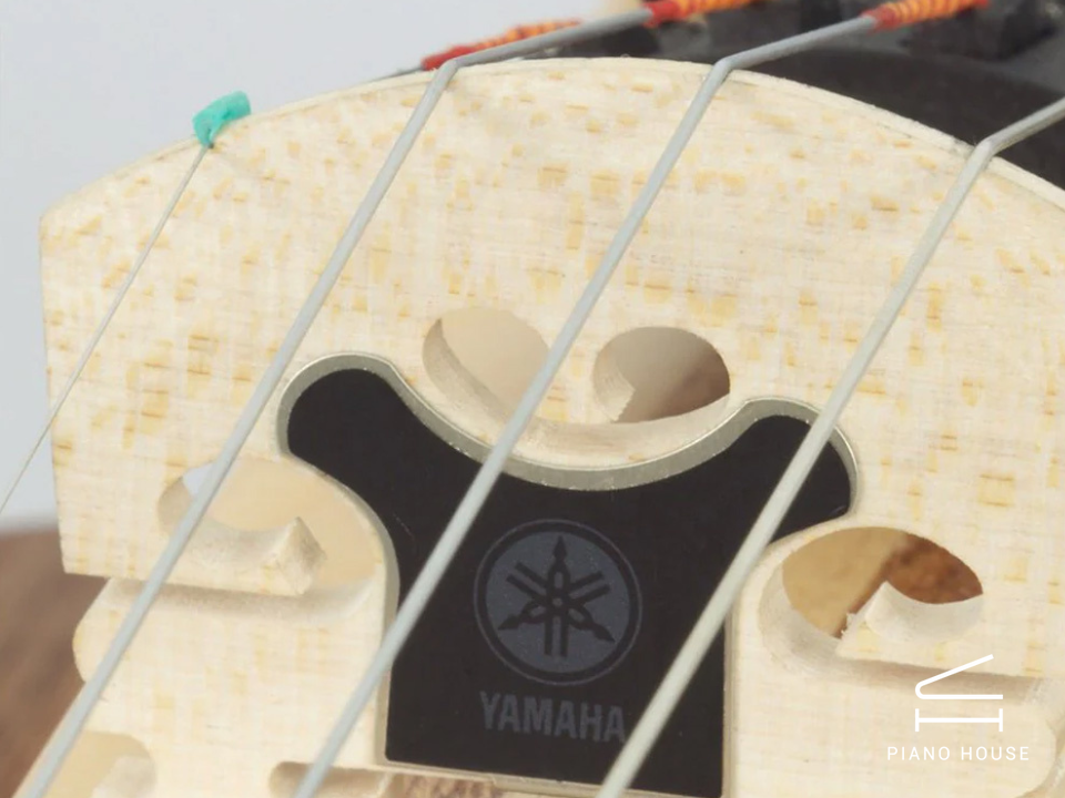 Violin Điện Yamaha YEV105 Natural