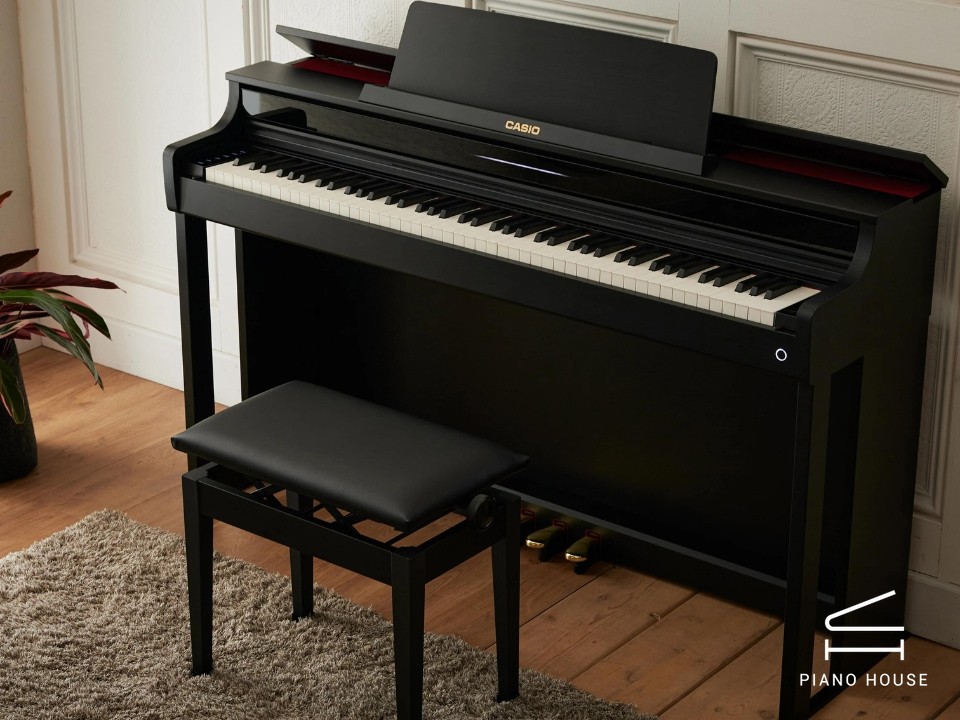 Casio AP-550 Black (BK)