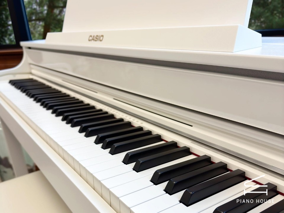 Casio AP-550 White (WH)