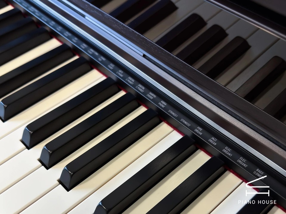 Casio AP-S450 Rosewood (R)