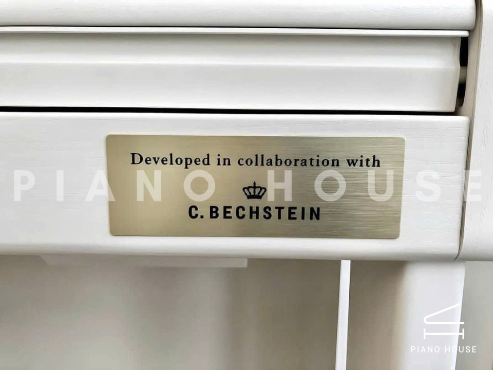 CASIO GP-300 WE (USED)