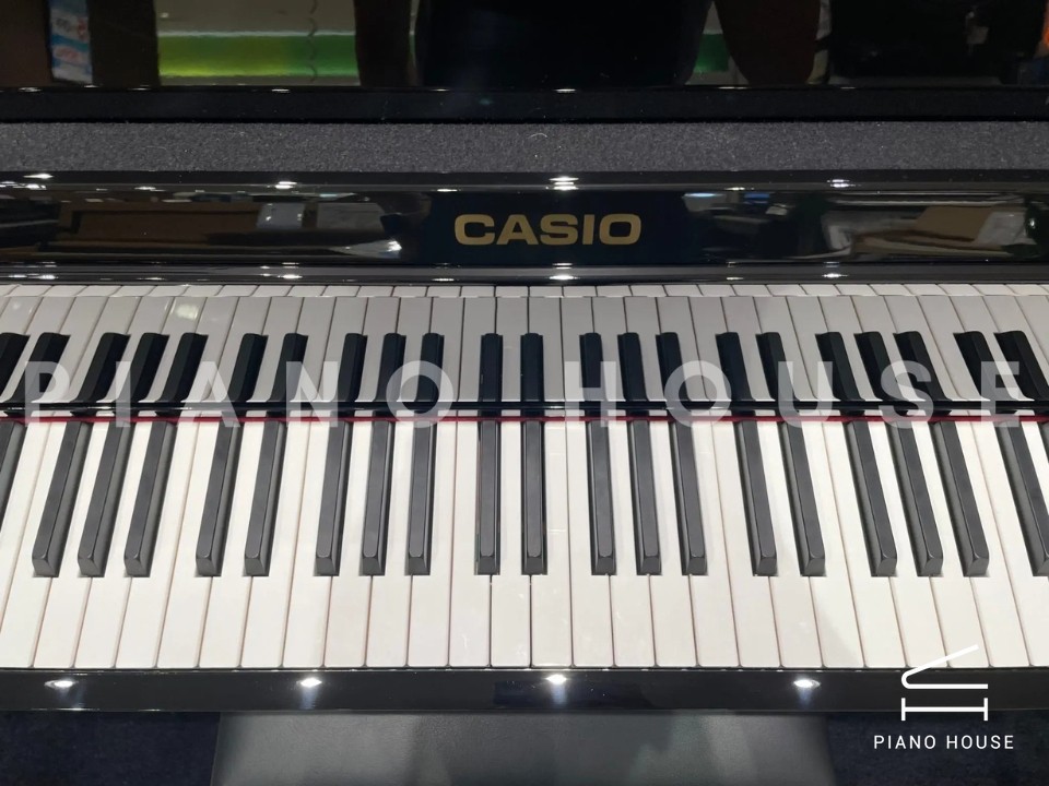CASIO GP-1000 PE (USED)