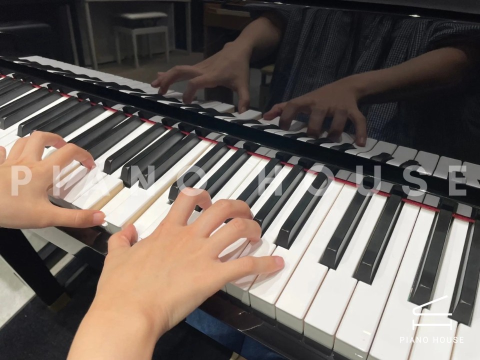 CASIO GP-1000 PE (USED)