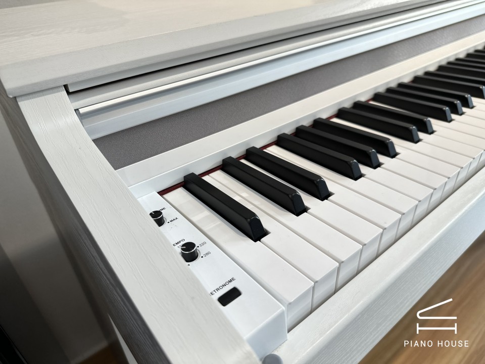 Piano Digital The ONE X100