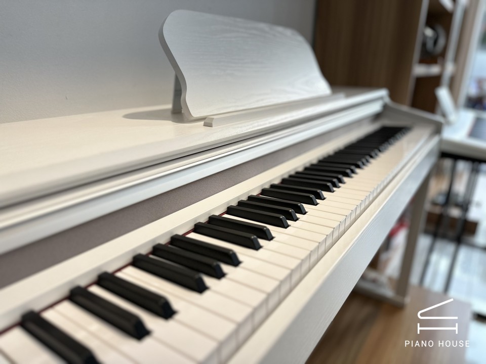 Piano Digital The ONE X100