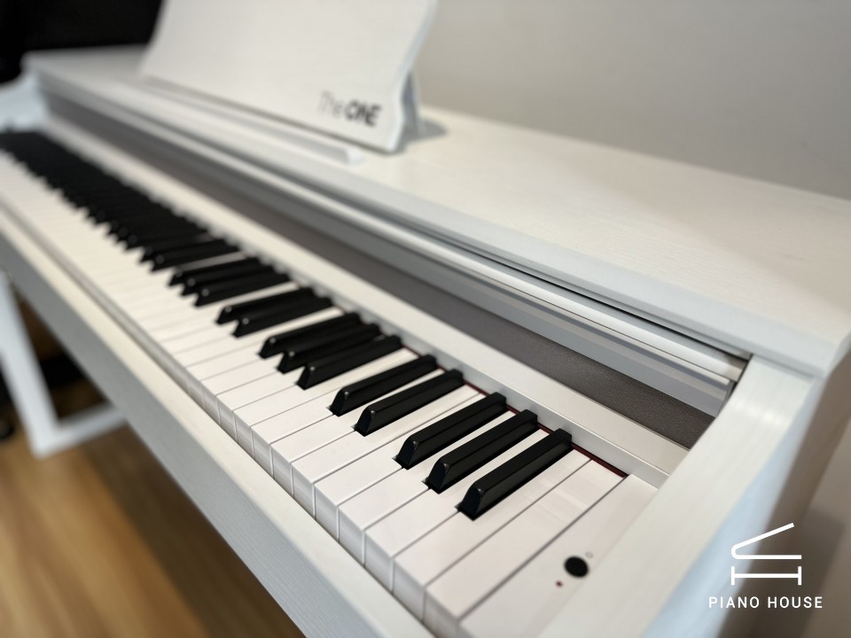 Piano Digital The ONE X100