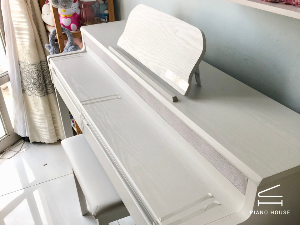 Piano Digital The ONE X100