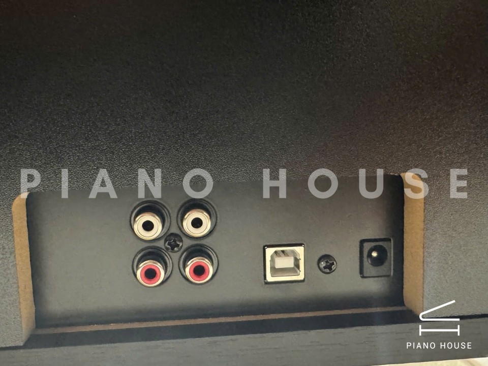 Piano Flykeys FDP3 R