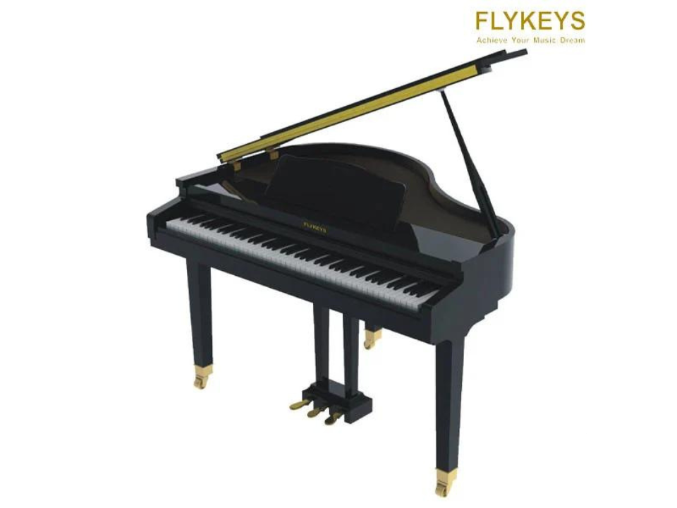 Piano Flykeys FGP110
