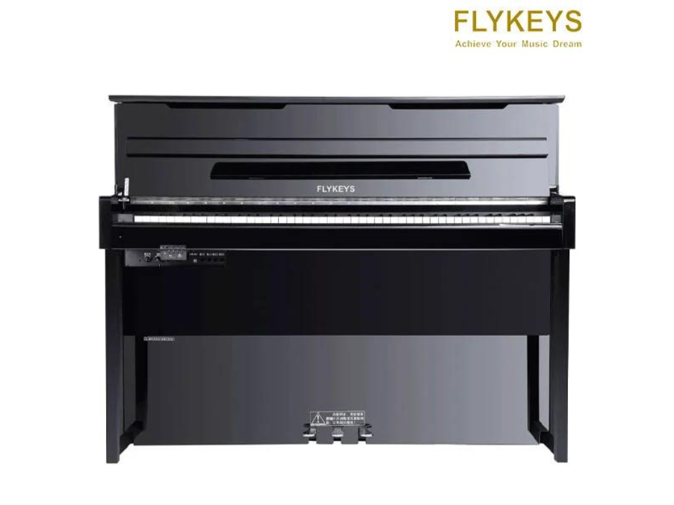 Piano Flykeys FK830