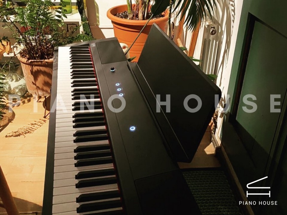 Gewa PP3 (Portable Piano)