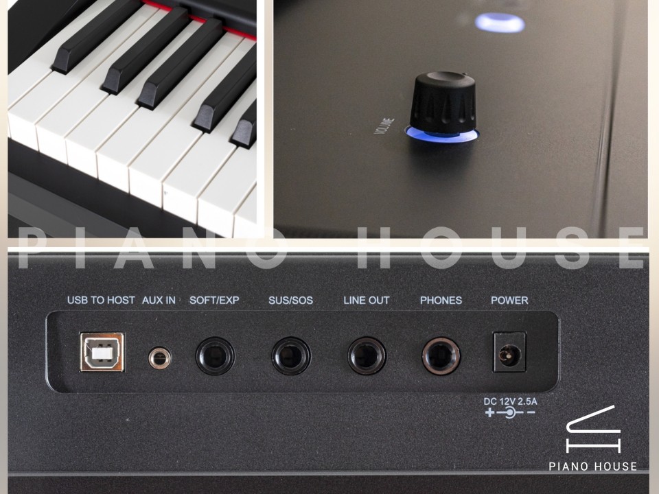 Gewa PP3 (Portable Piano)