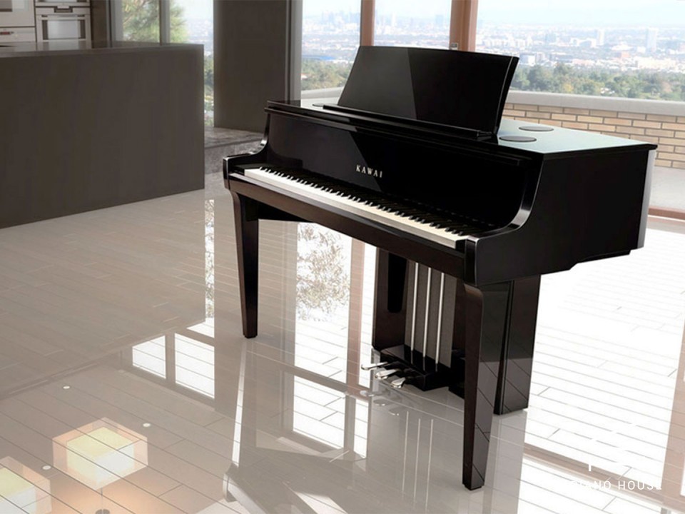 KAWAI NV10S Hybrid