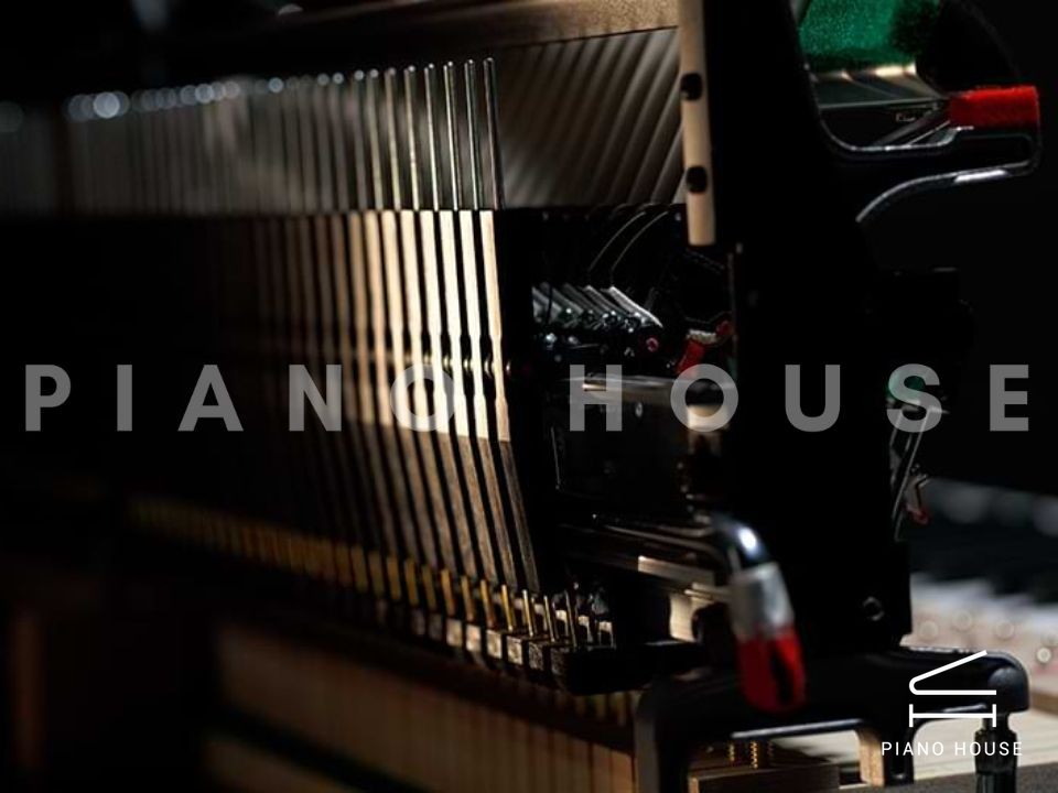 KAWAI Novus NV6