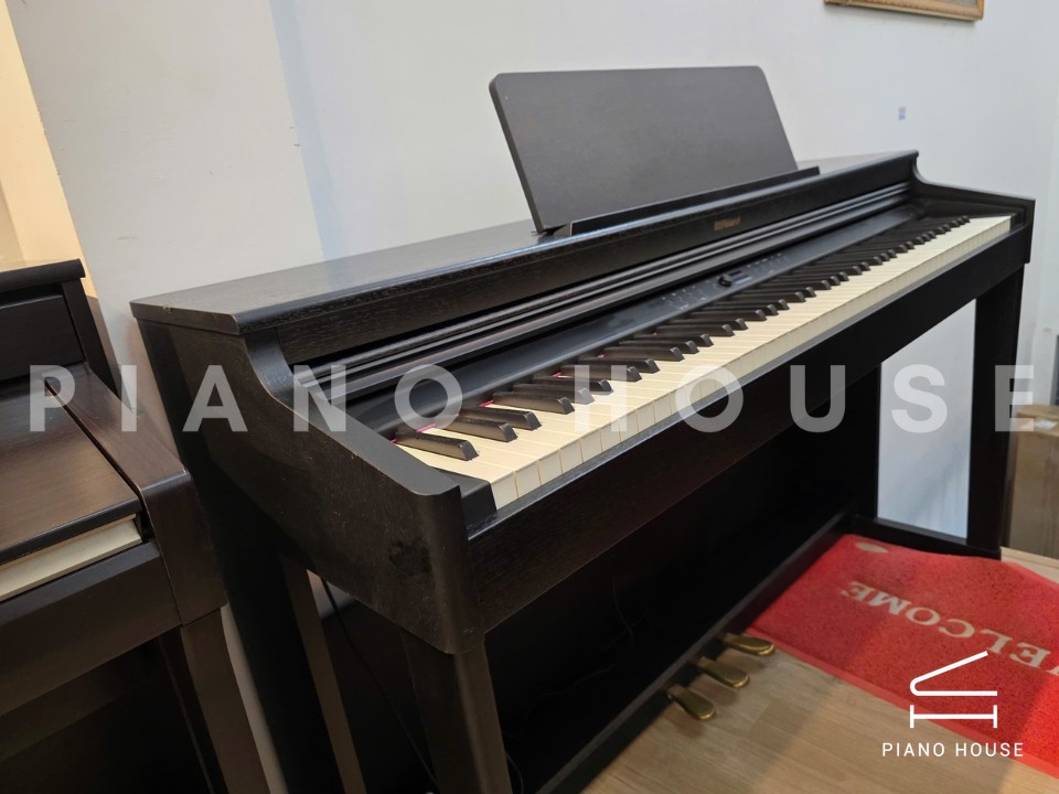 ROLAND RP-701 CB (USED)