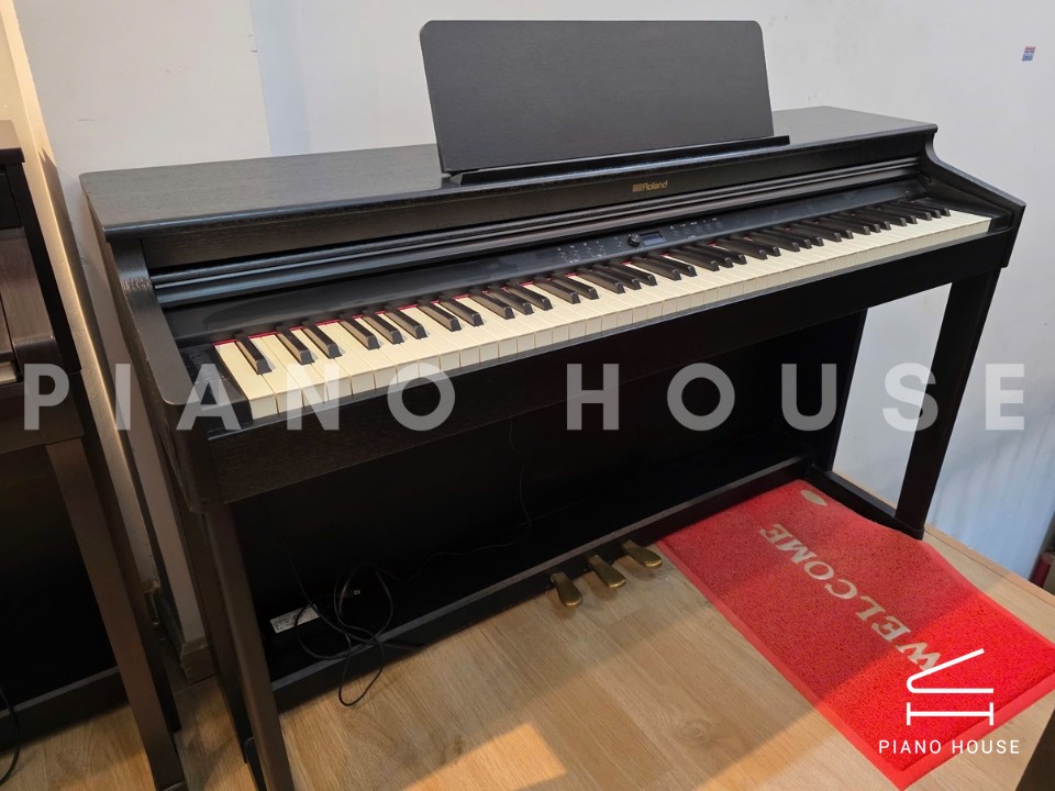 ROLAND RP-701 CB (USED)