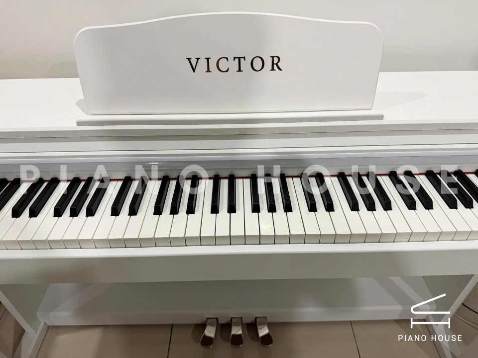 Piano Victor P800 (White)