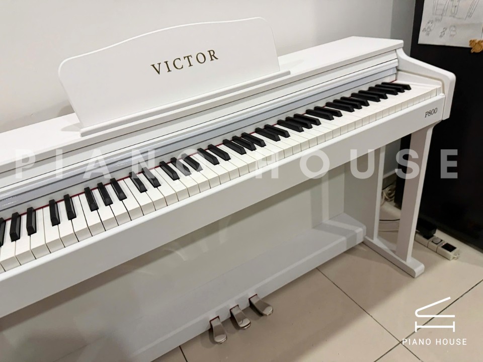 Piano Victor P800 (White)