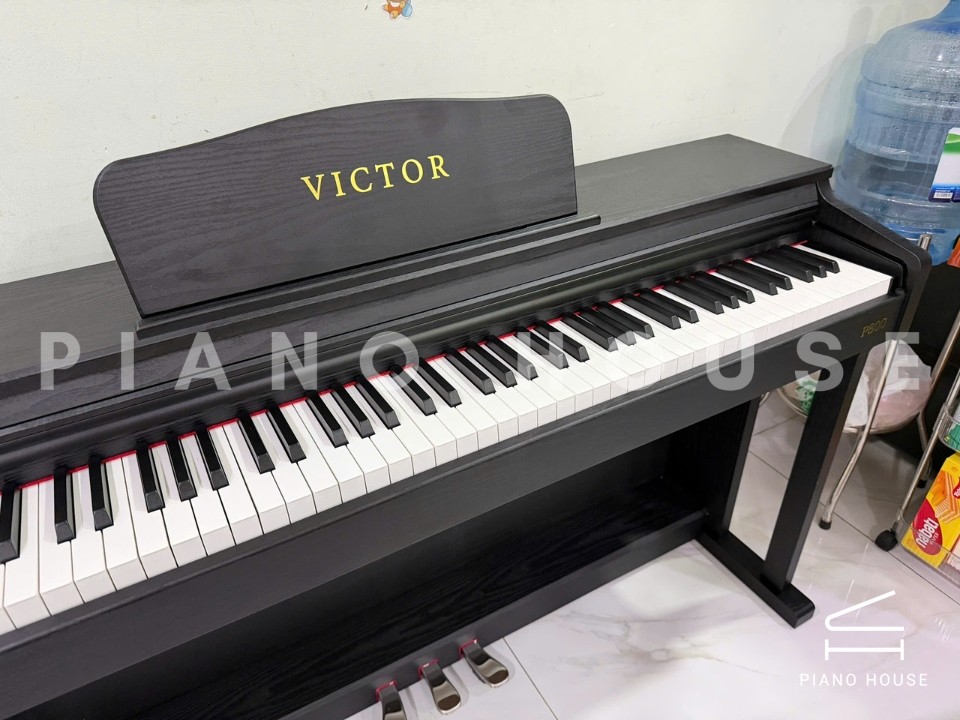 Piano Victor P800 (Black)