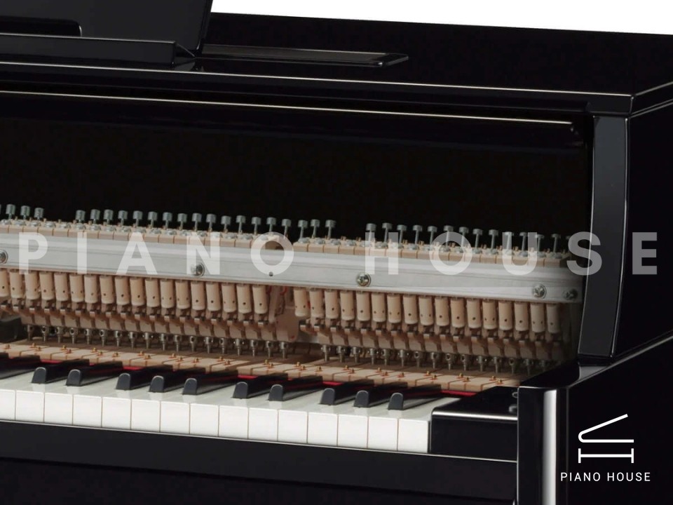 AVANT GRAND N1X (USED)