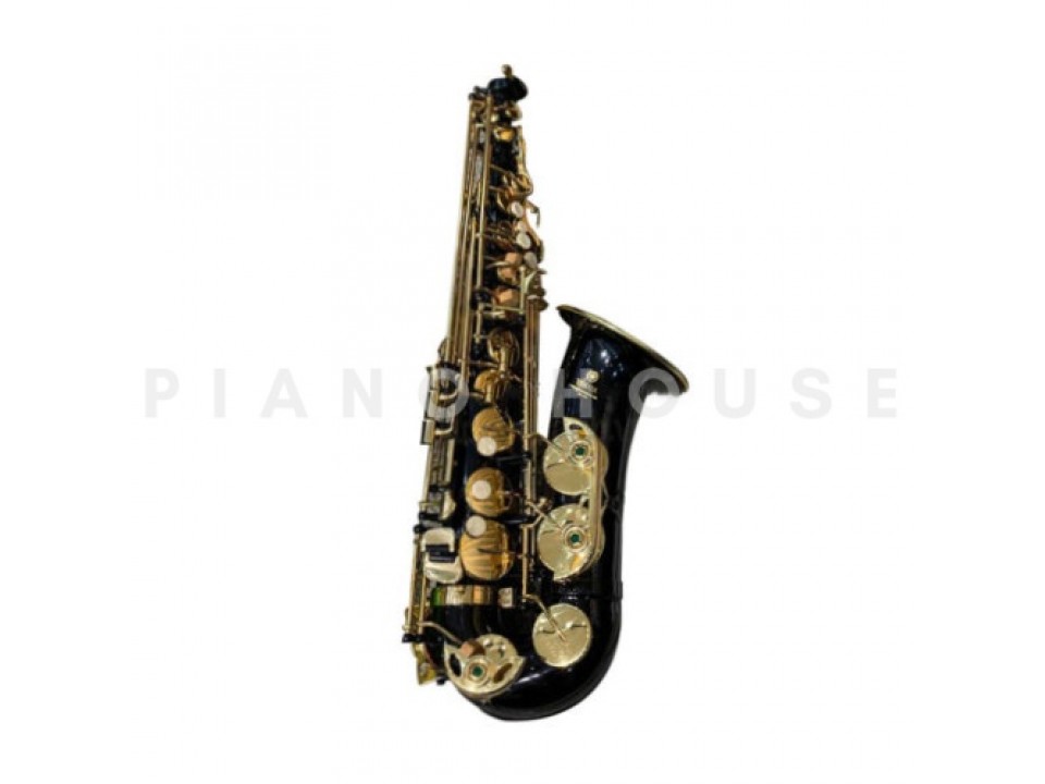 Kèn Saxophone Alto AS100BK4