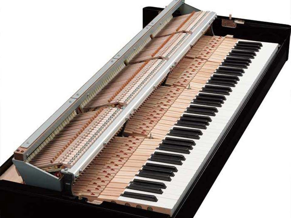 AVANT GRAND N1 (USED)