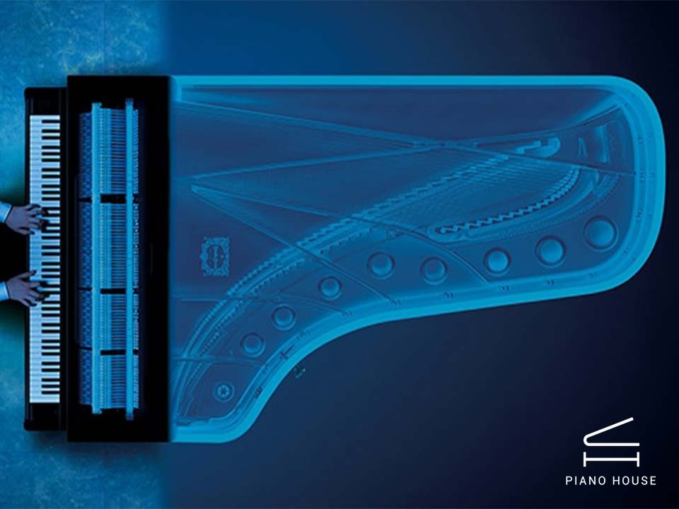 AVANT GRAND N2 (USED)