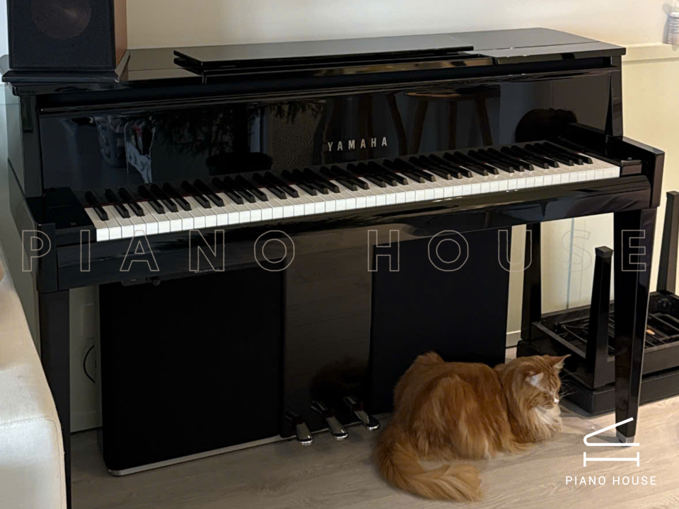 AVANT GRAND N2 (USED)