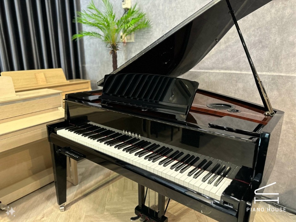 AVANT GRAND N3 (USED)