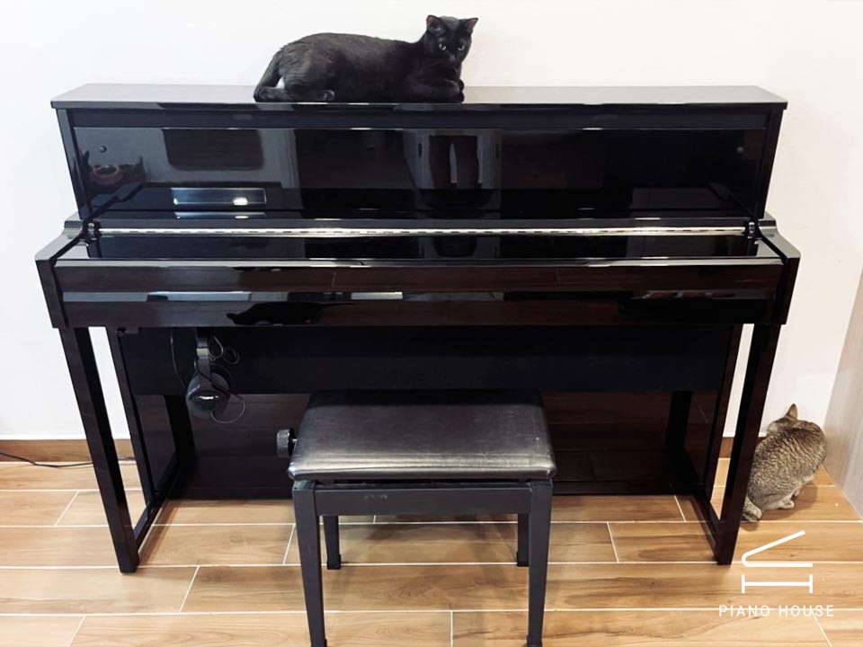 YAMAHA NU1X PE (New)