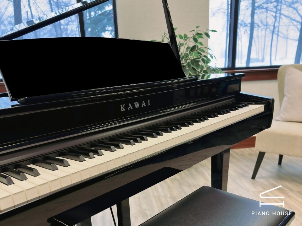 KAWAI DG30