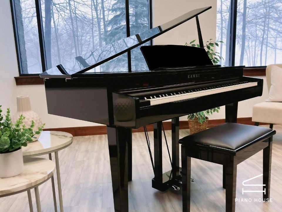 KAWAI DG30