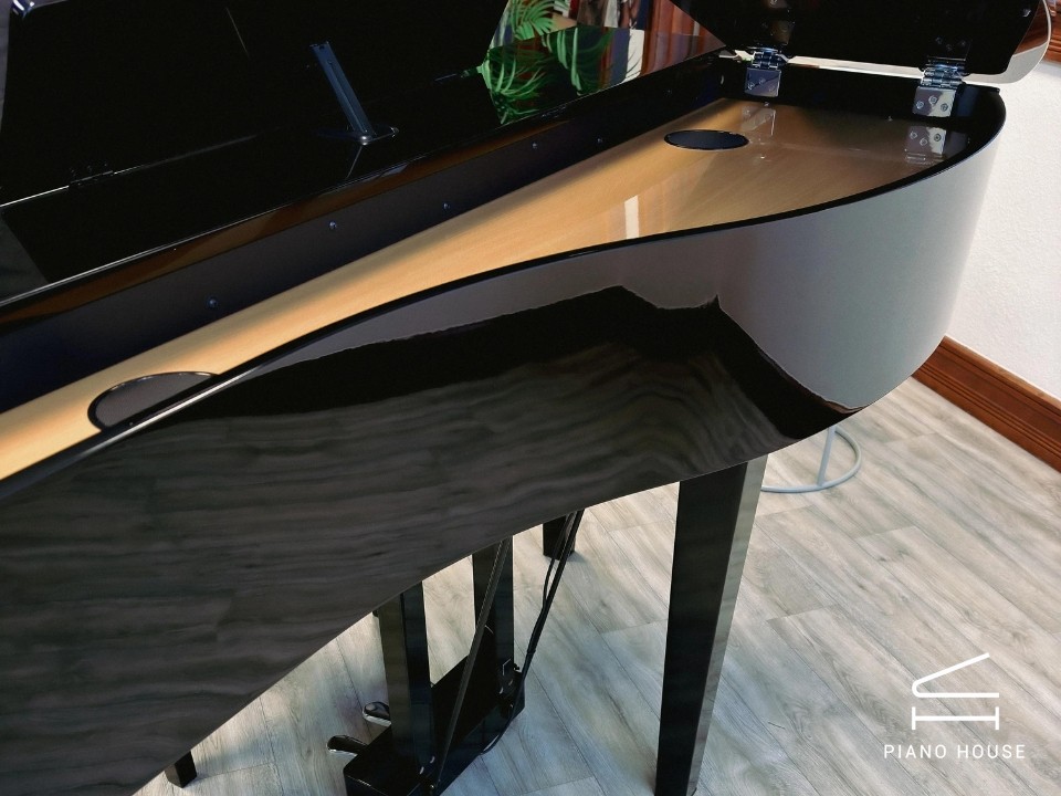 KAWAI DG30