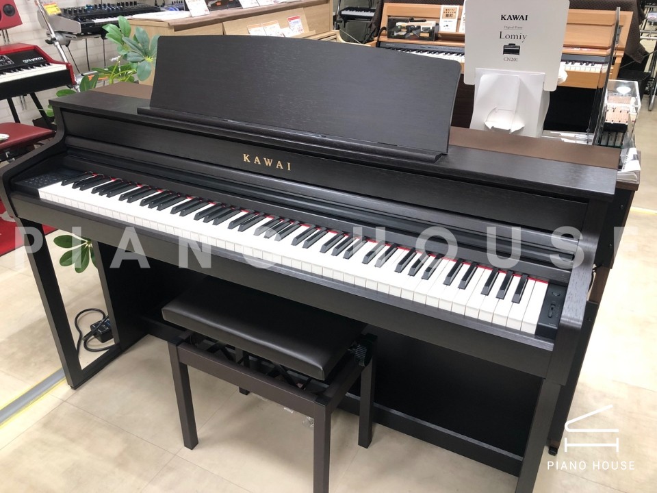 KAWAI CA501 R