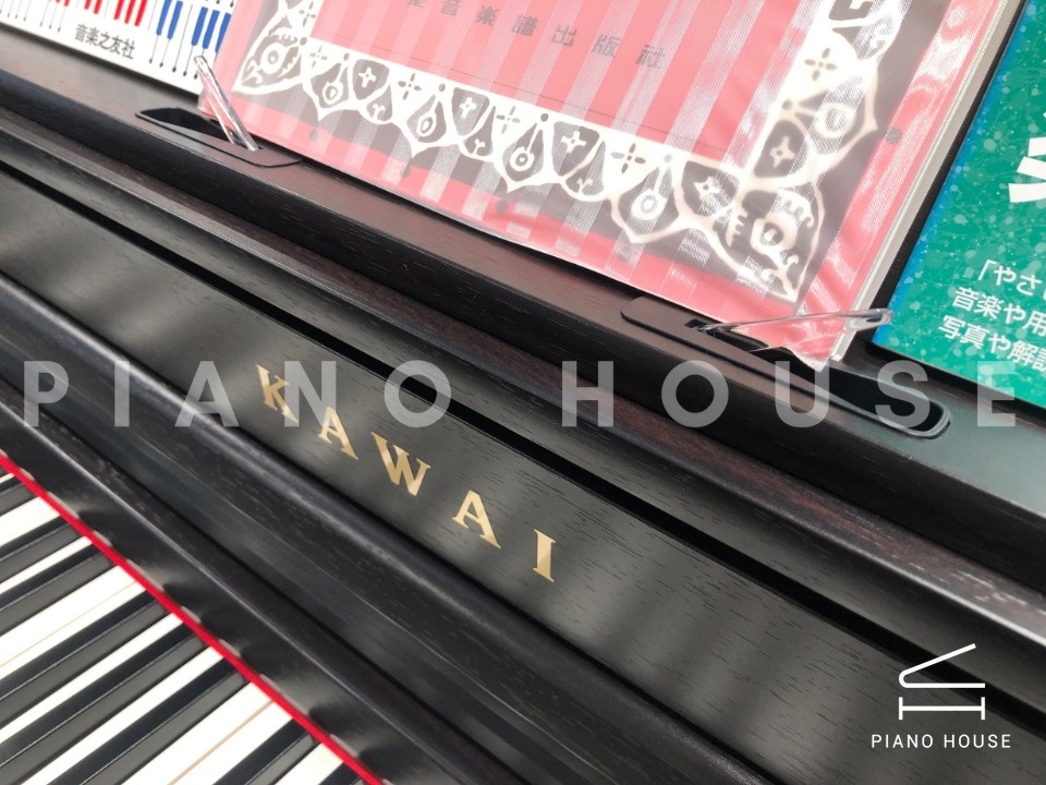 KAWAI CA501 R (USED)