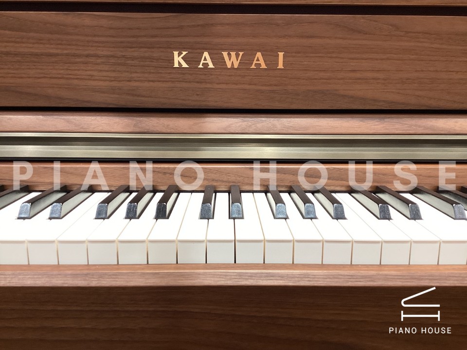 KAWAI CA701 NW