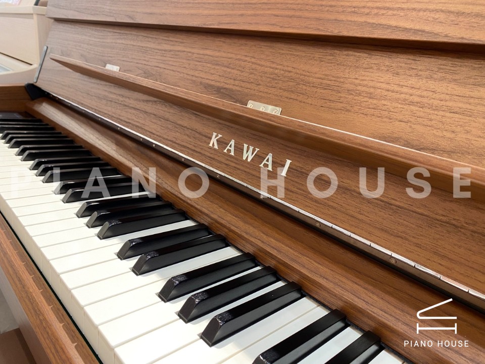 KAWAI CA901 NW (Limited Edition)