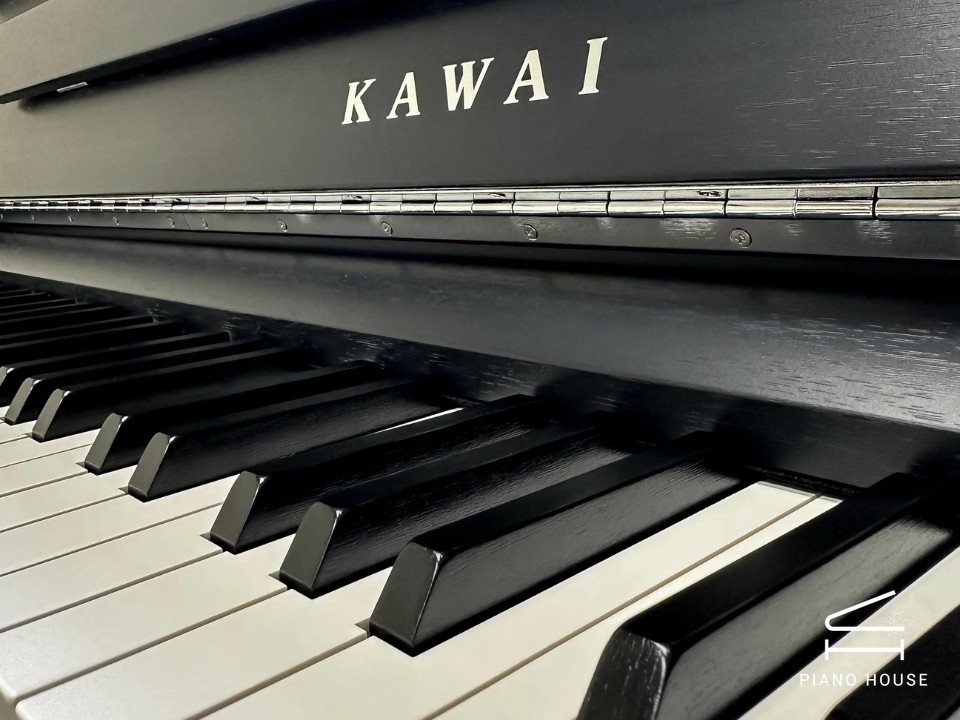 KAWAI CA901 B (USED)