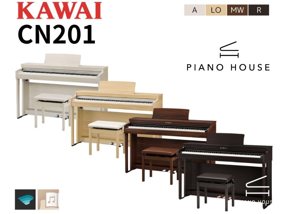 KAWAI CN201 MW