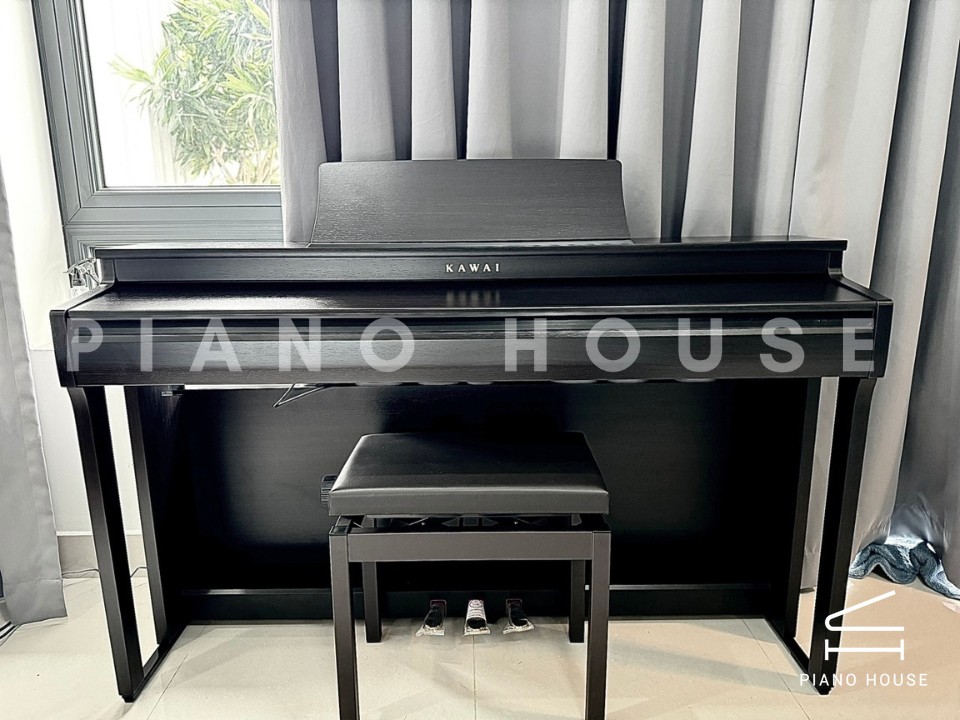 KAWAI CN201 R
