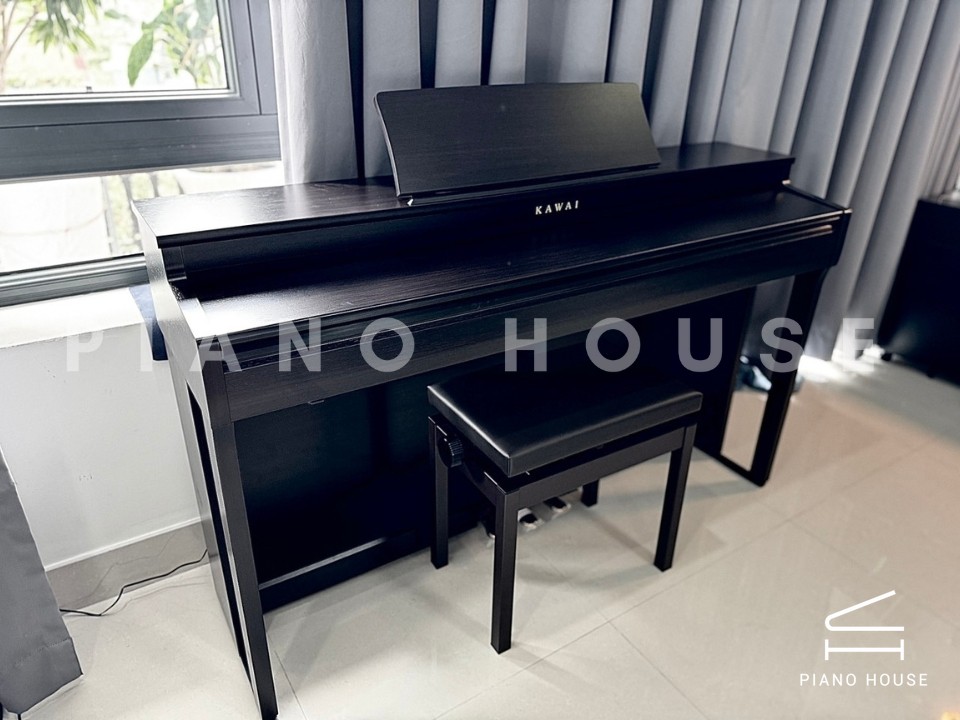 KAWAI CN201 R