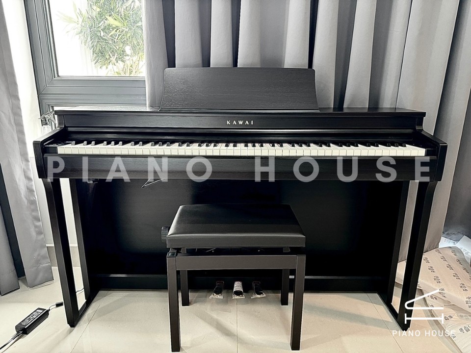 KAWAI CN201 R