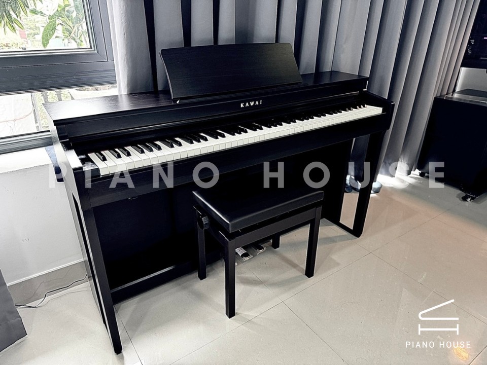 KAWAI CN201 R