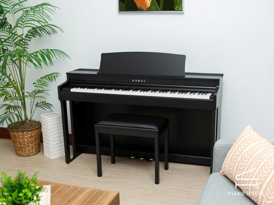 KAWAI CN301 B