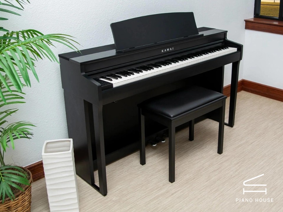 KAWAI CN301 B