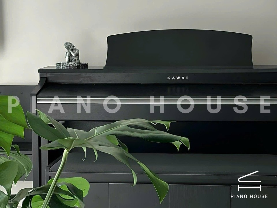 KAWAI CN33